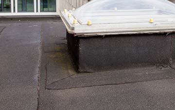 disadvantages of Newton Reigny flat roofs