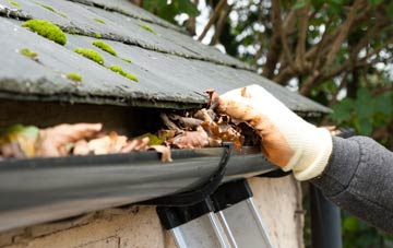 gutter cleaning Newton Reigny, Cumbria
