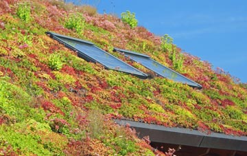 Newton Reigny living roof systems